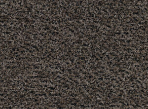 Coral tegel 50x50 5714 shark grey schoonlooptegels.