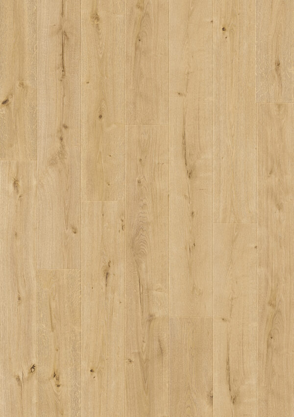 Beautifloor laminaat Jackson Traceway, ST900039, 138x19cm, doos 1,573m2