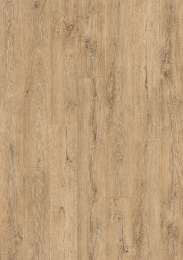 Beautifloor laminaat Jackson Providence, ST900042, 138x19cm, doos 1,573m2