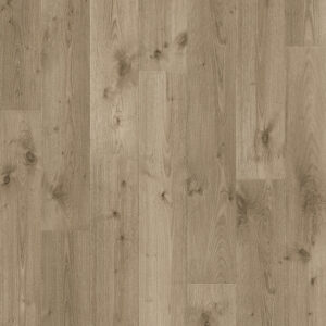 Beautifloor laminaat Jackson Watkins, ST900043, 138x19cm, doos 1,573m2
