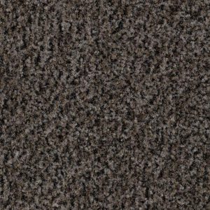 5714 Coral Brush 155CM incl. edge C2021